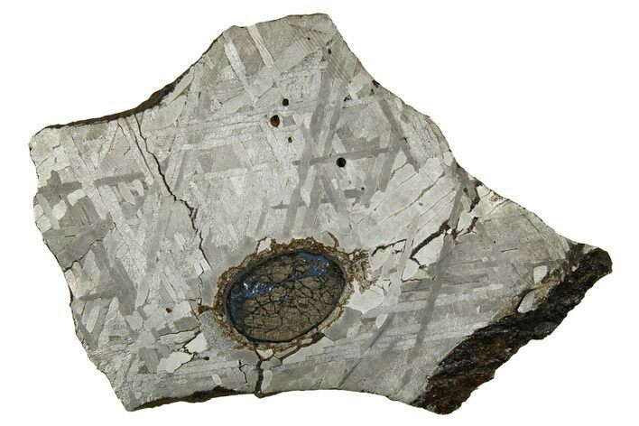 Etched Iron Meteorite Slice ( g) - Unclassified #309812